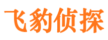 平舆捉小三公司